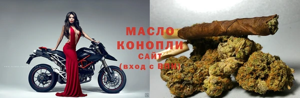 МДПВ Протвино