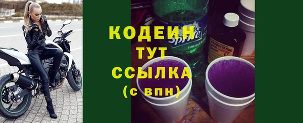 МДПВ Протвино