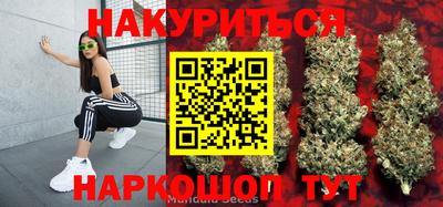 индика Беслан