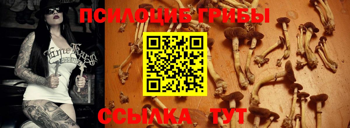 Псилоцибиновые грибы GOLDEN TEACHER Екатеринбург